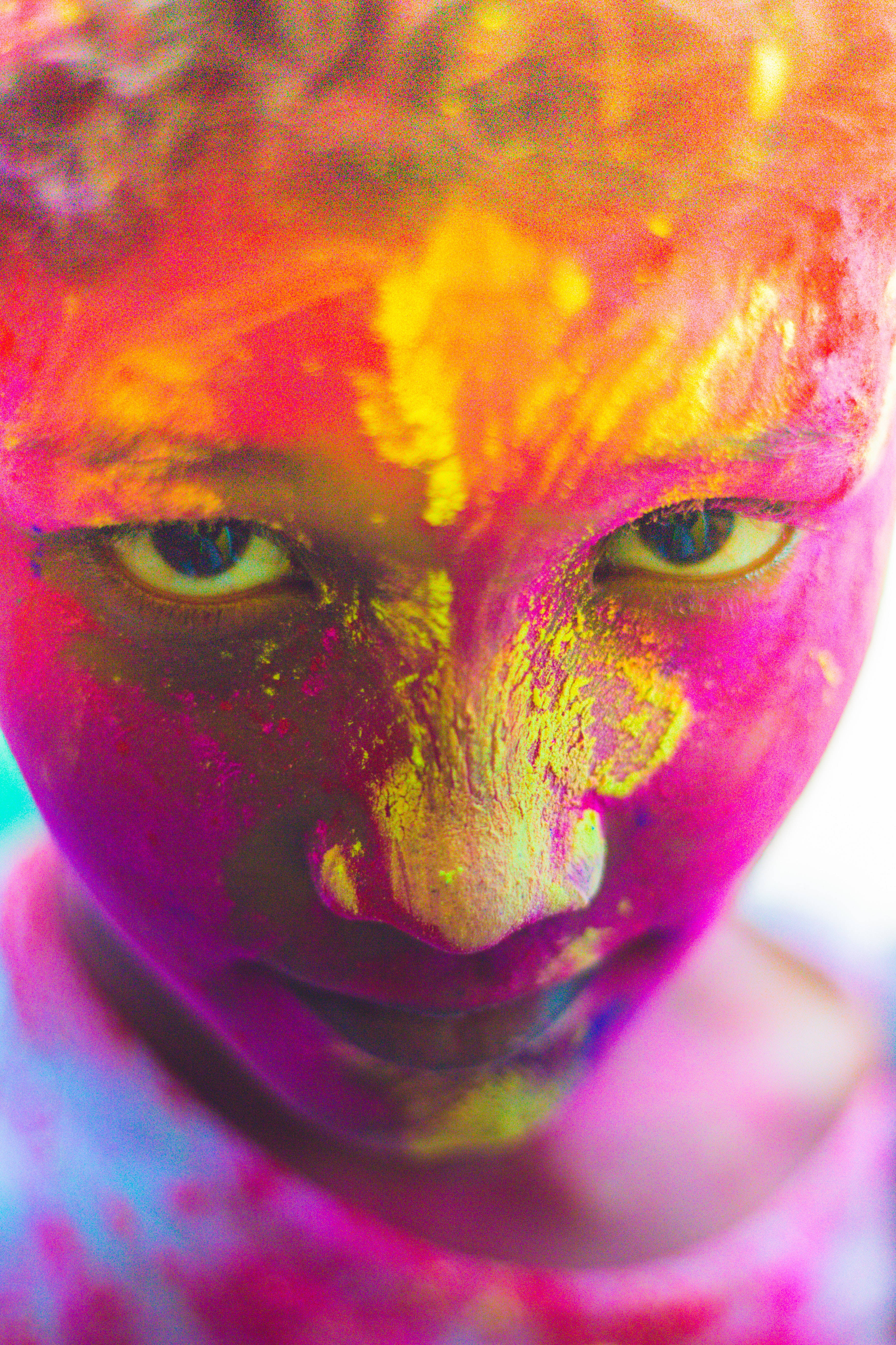 Happy Holi HD, pink, orange, 5K Phone Wallpaper