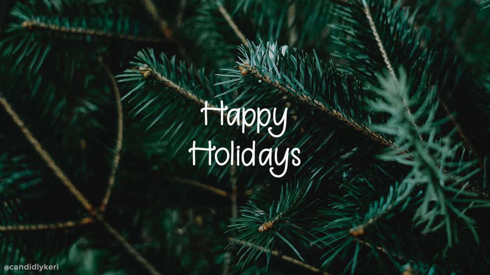 happy holidays, dark green pine needles, white cursive text, SD Desktop Wallpaper