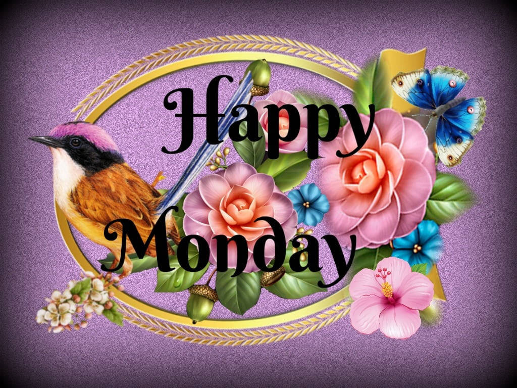 Happy Monday, golden oval frame, colorful bird butterfly, SD Desktop Wallpaper
