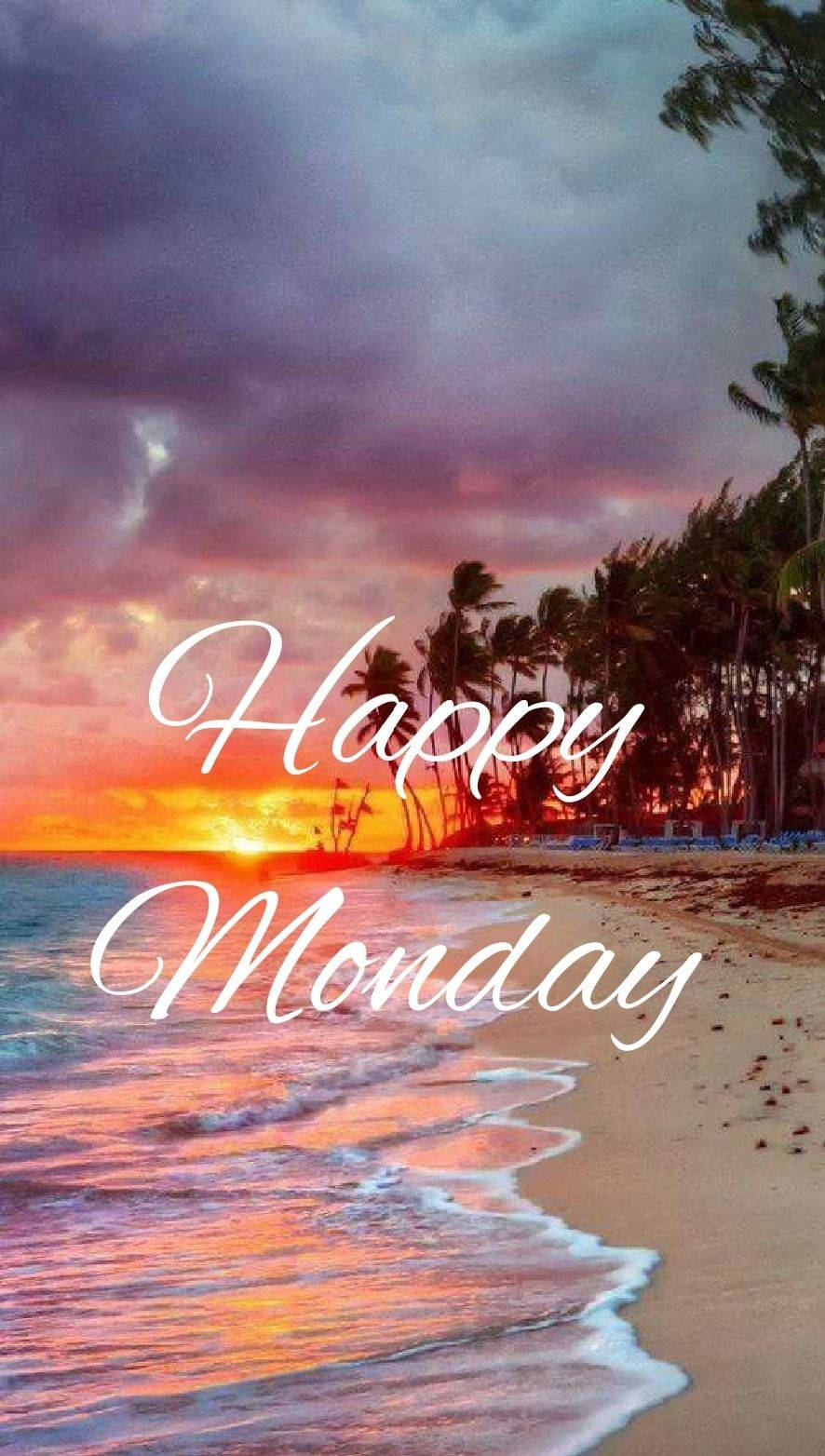 Happy monday, sunset, tropical beach, HD Phone Wallpaper