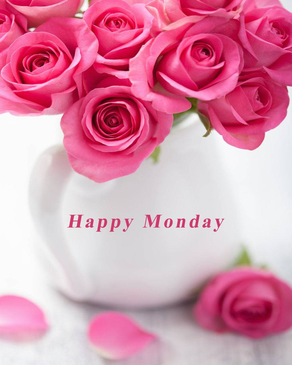 Happy Monday, pink roses, white vase, SD Phone Wallpaper