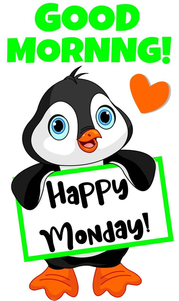 Happy Monday, cartoon penguin, blue eyes, SD Phone Wallpaper