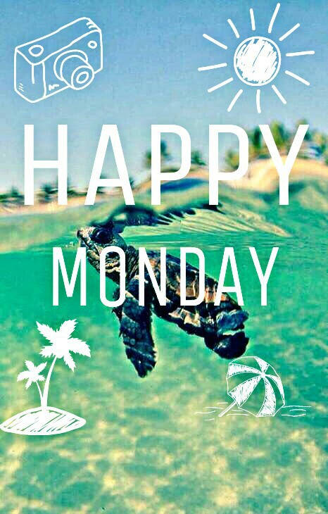 HAPPY MONDAY, turquoise ocean, white line art, SD Phone Wallpaper