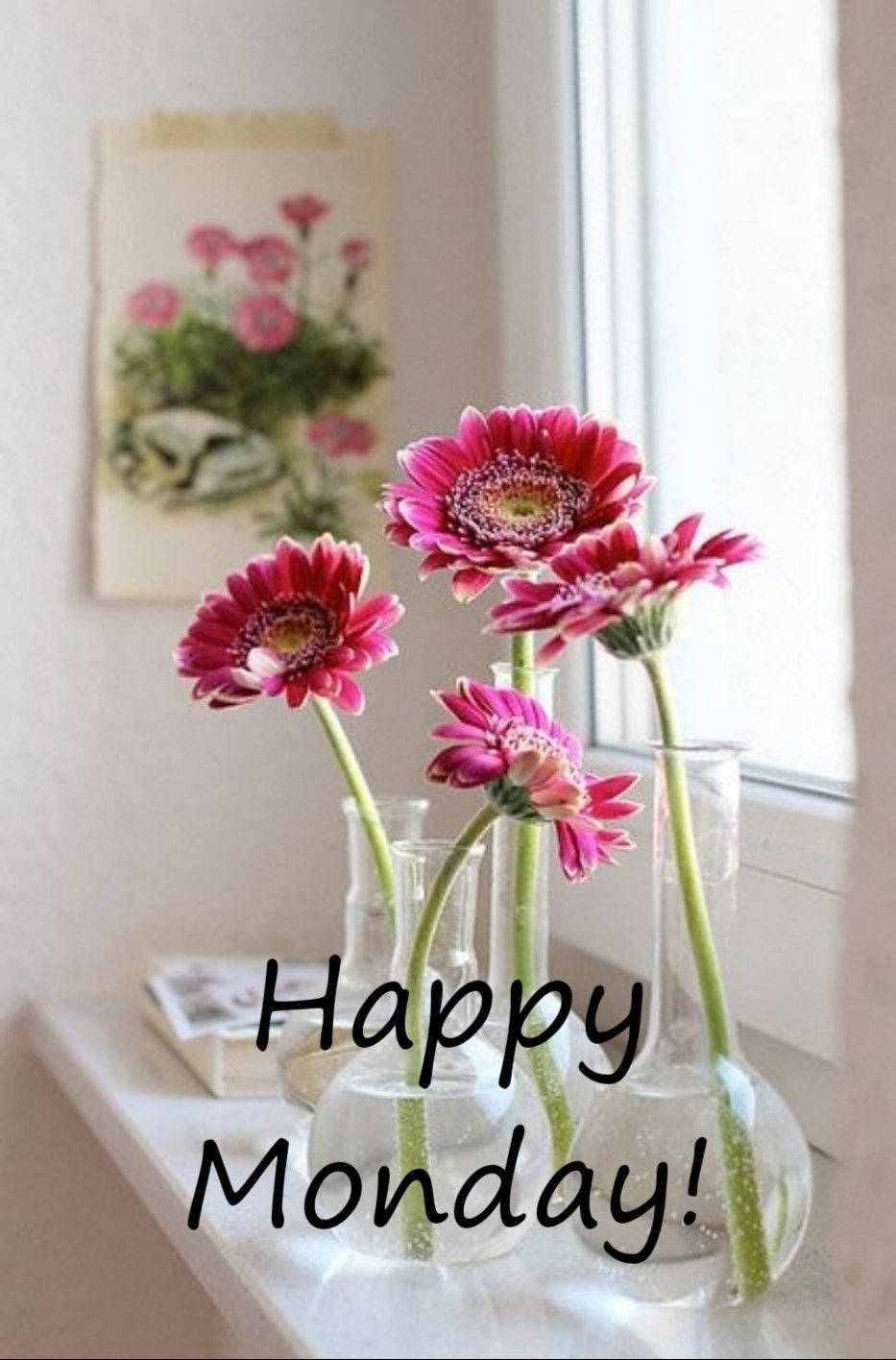Happy Monday!, pink gerbera daisies, clear glass vases, HD Phone Wallpaper
