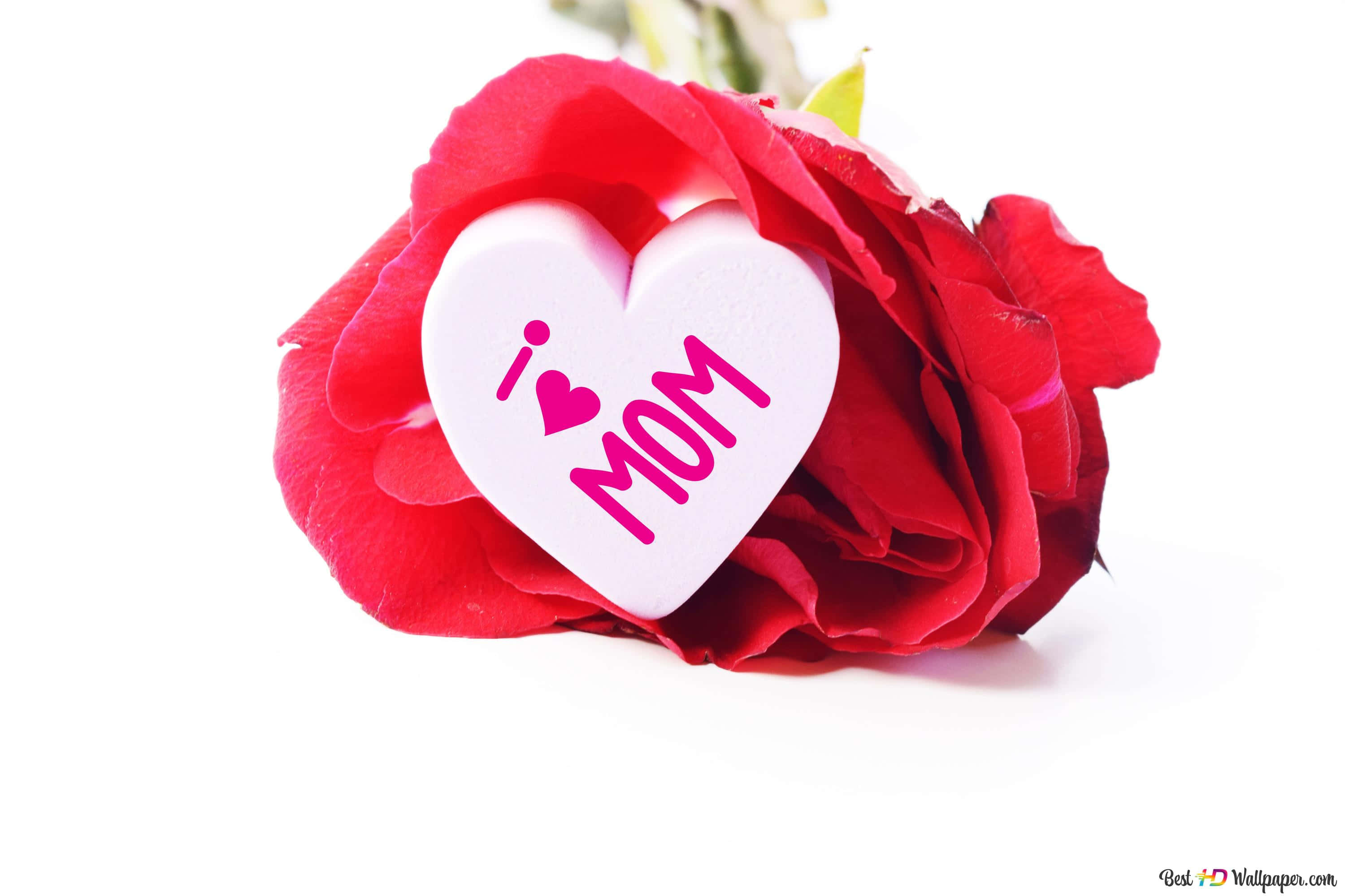 Happy Mothers Day HD, red rose, white heart-shaped tag, 2K Desktop Wallpaper
