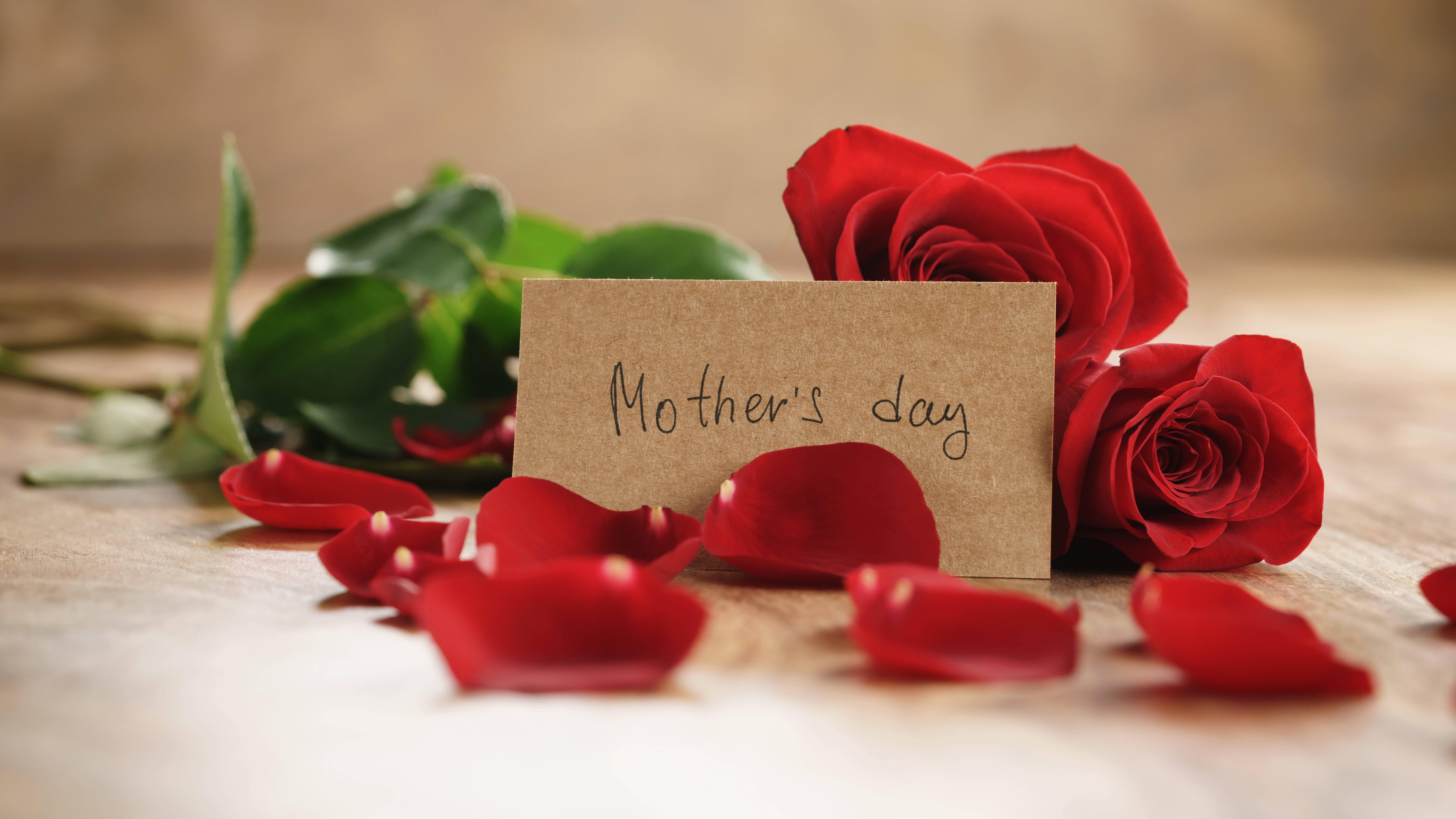 Red Rose Petals, Mother's Day card, vibrant red roses, 8K Desktop Wallpaper