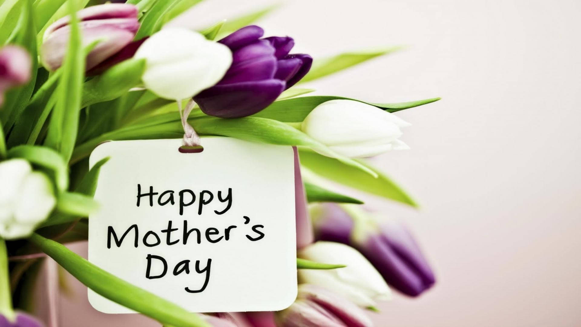 Happy Mother's Day, violet roses, purple and white tulips, Full HD Desktop Wallpaper