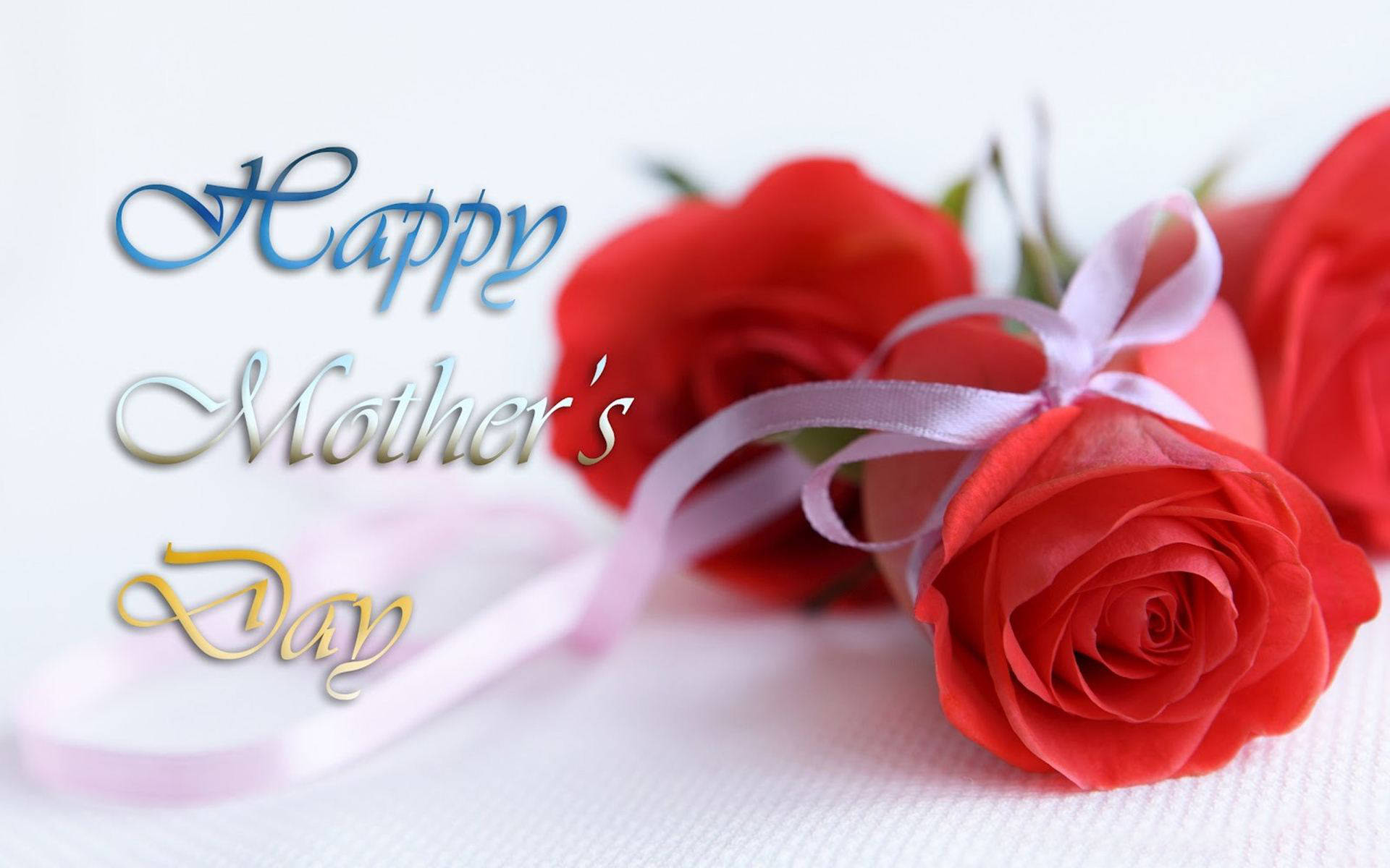 Happy Mother's Day, vibrant red roses, pink ribbon, Full HD Desktop Wallpaper