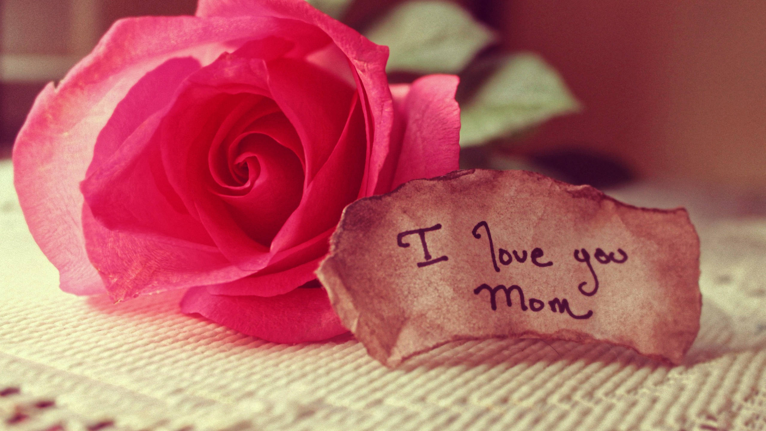 Happy Mothers Day, I love you Mom, vibrant pink rose, 2K Desktop Wallpaper