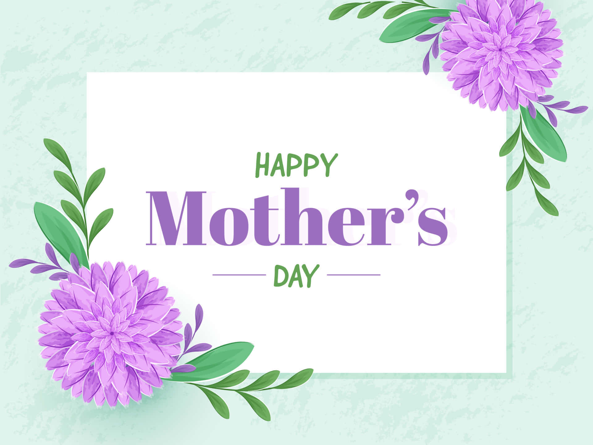 Happy Mothers Day, floral greeting card, vibrant purple dahlias, Full HD Desktop Wallpaper