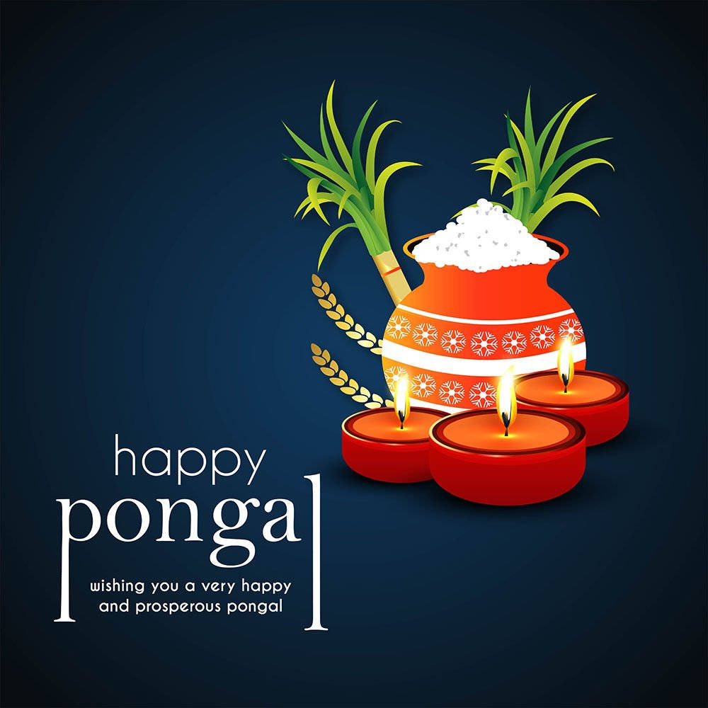 Happy Pongal, red pot, rice, SD Desktop Wallpaper