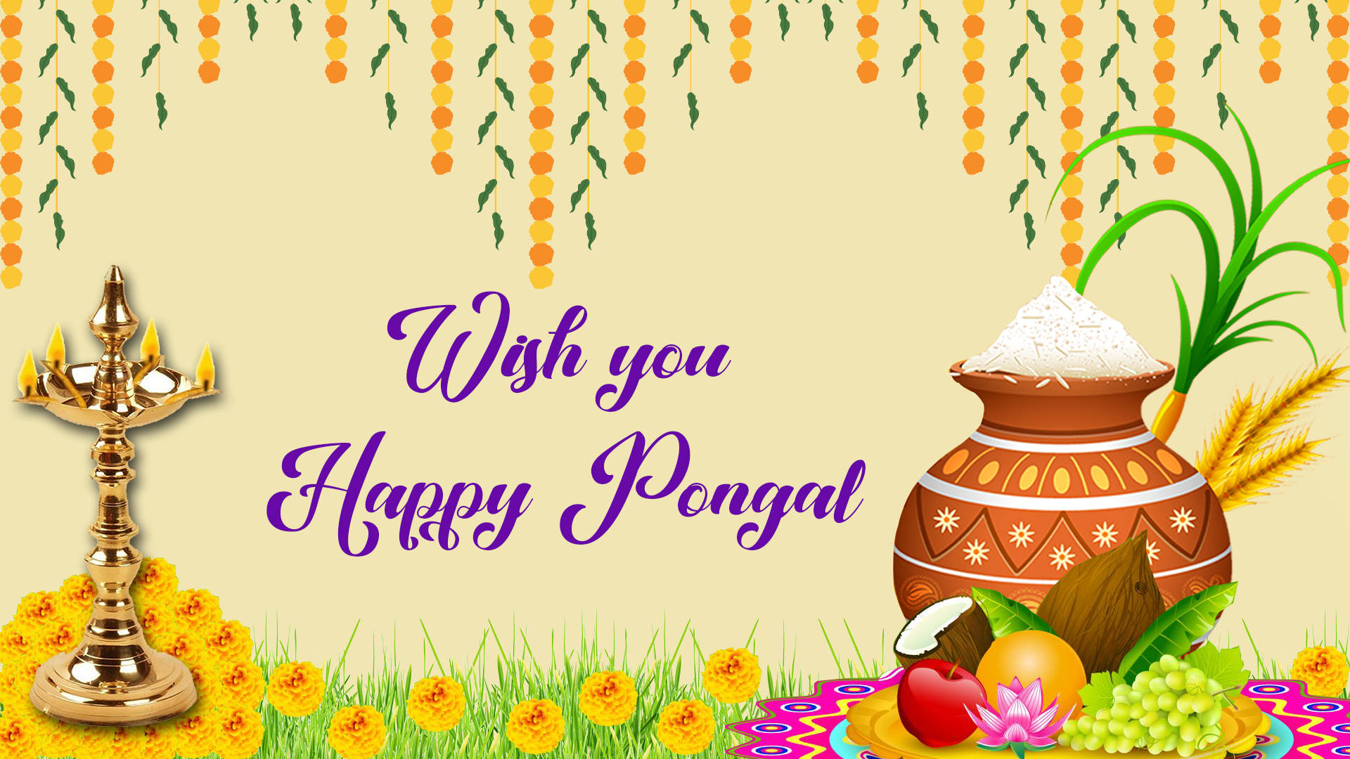 Happy Pongal, decorated pot of rice, coconut, Full HD Desktop Wallpaper