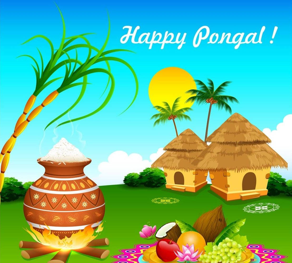Happy Pongal, steaming pot, sugarcane, SD Desktop Wallpaper