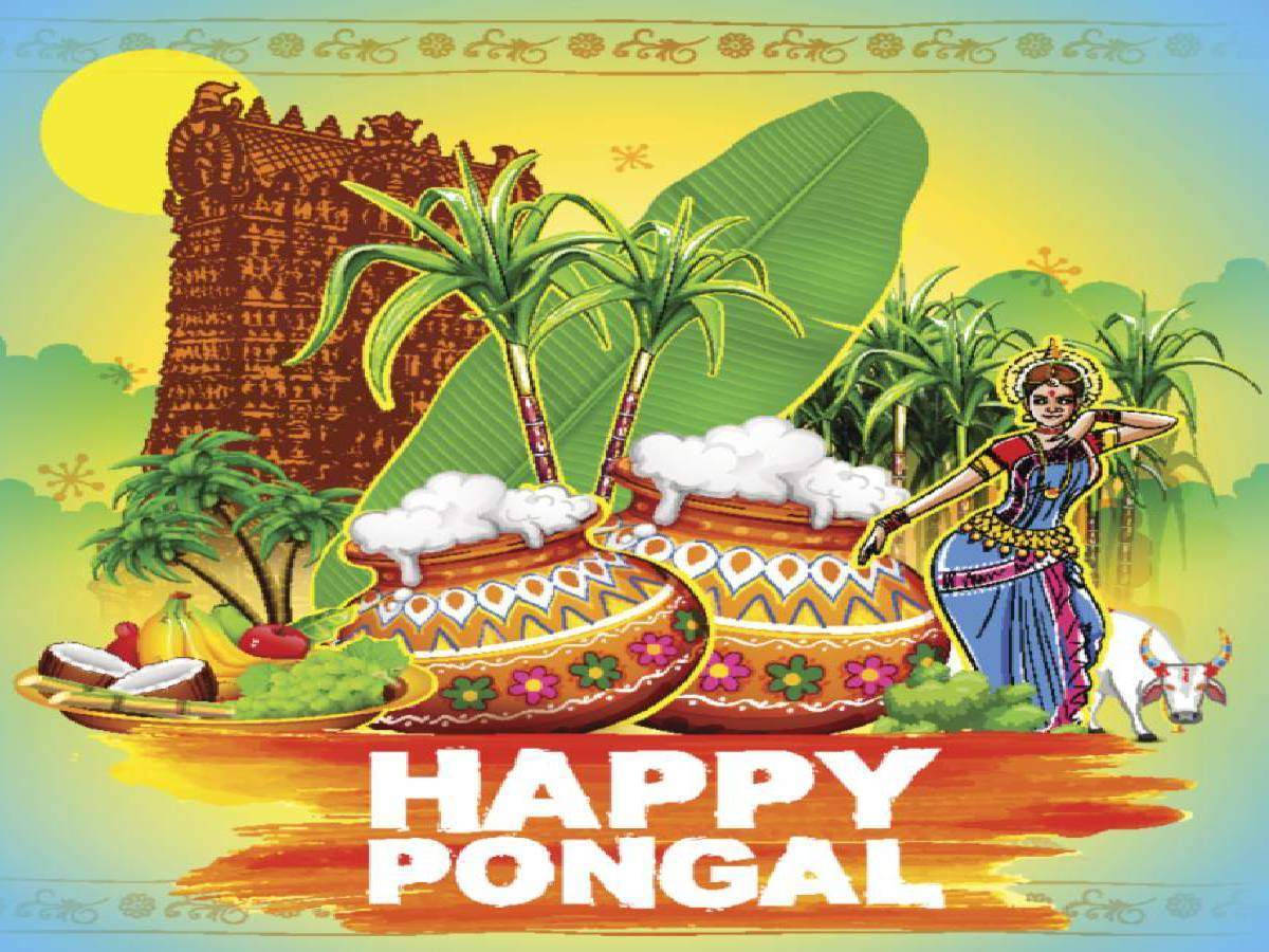 Happy Pongal, traditional attire, dancing, SD Desktop Wallpaper