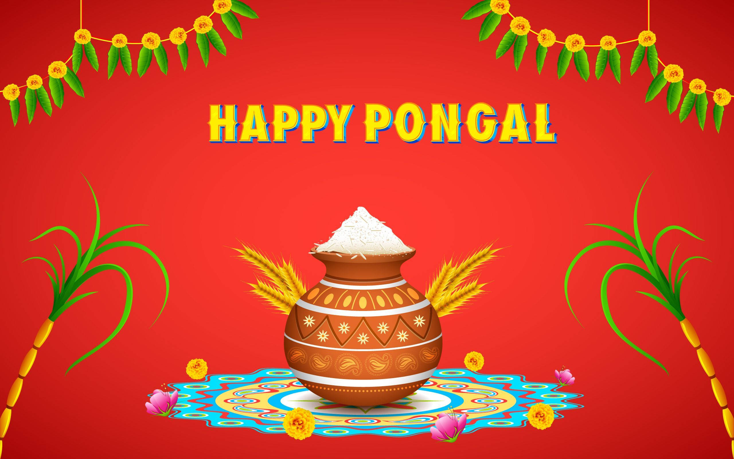 Happy Pongal, Pongal pot, rice, 2K Desktop Wallpaper