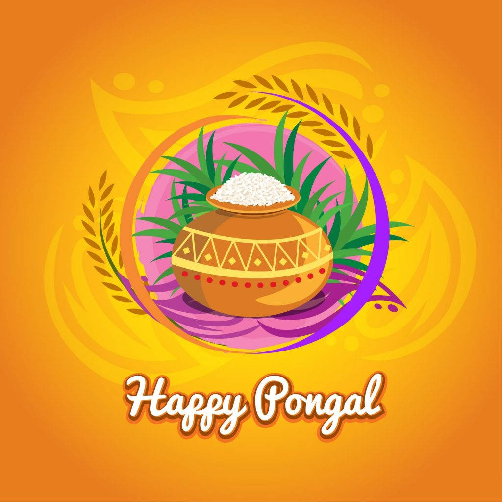 Happy Pongal, Pongal pot, rice, SD Desktop Wallpaper
