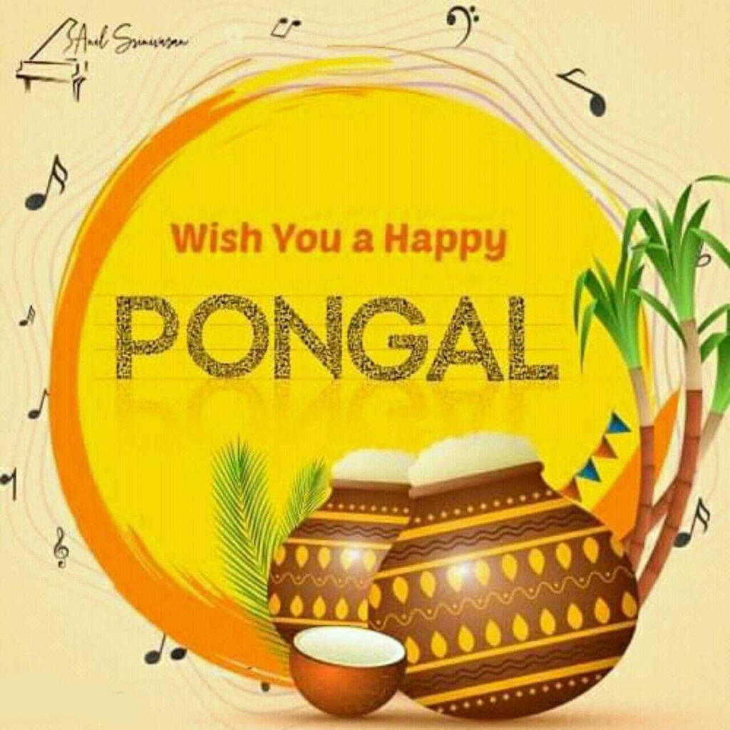 Musical Happy Pongal, decorated pots, overflowing with rice, SD Desktop Wallpaper