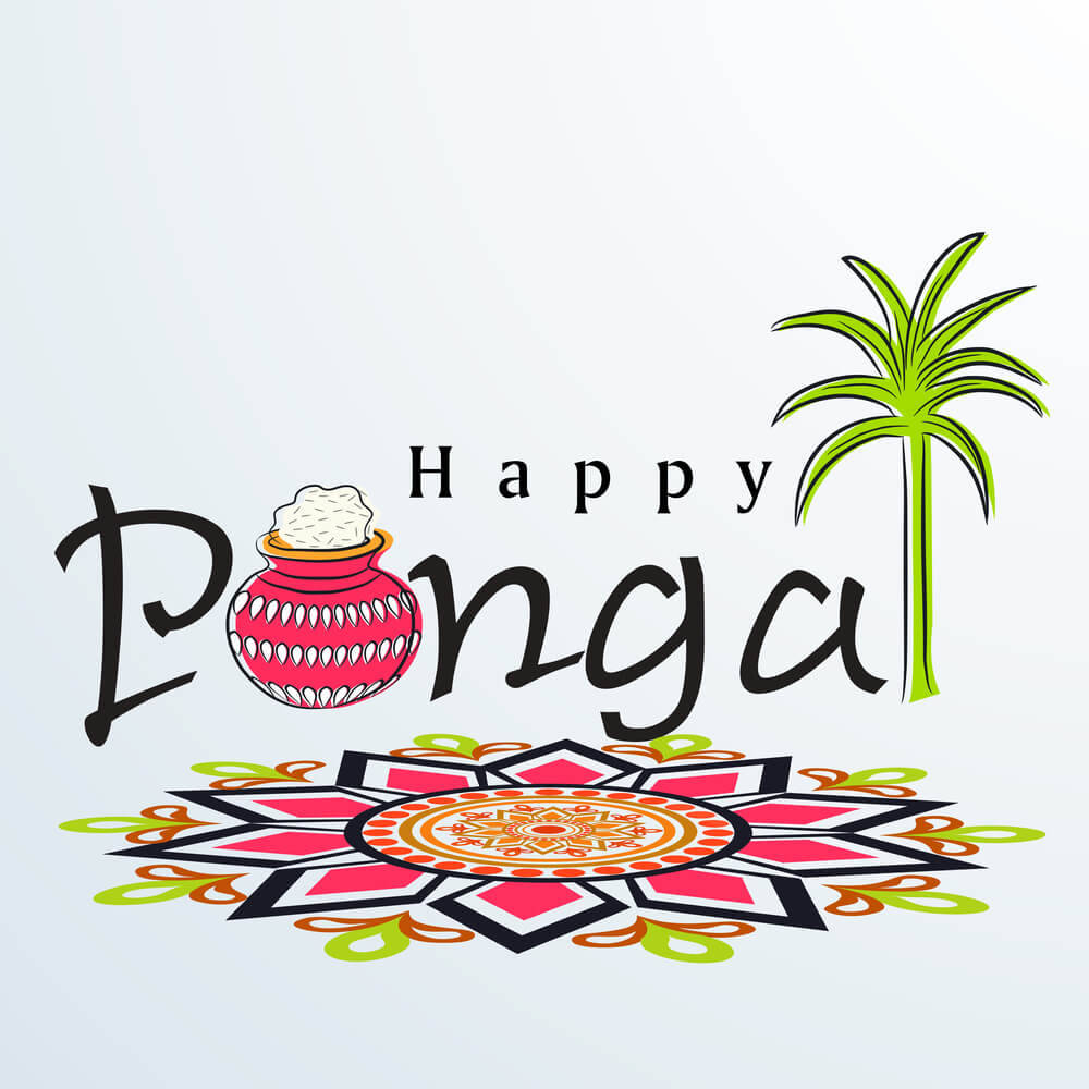 Happy Pongal, pot rice, palm tree, SD Desktop Wallpaper