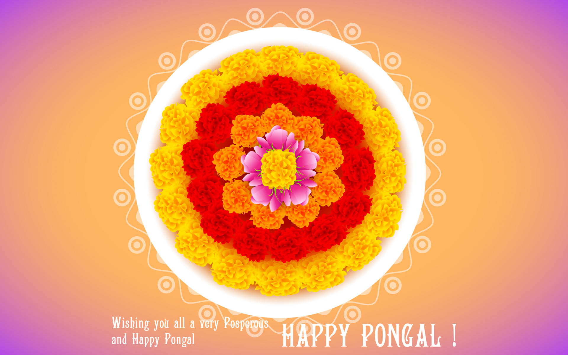 Happy Pongal, red yellow and pink marigolds, white bowl, Full HD Desktop Wallpaper