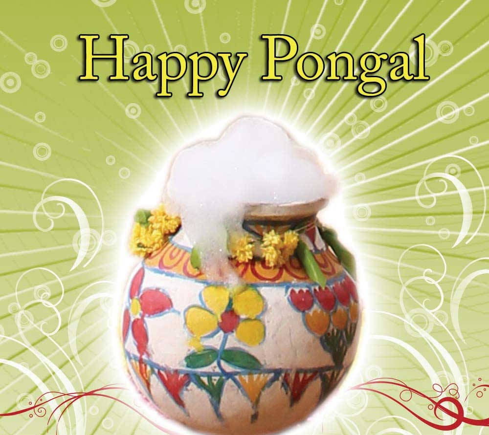 Happy Pongal, pot, frothy pongal, SD Desktop Wallpaper