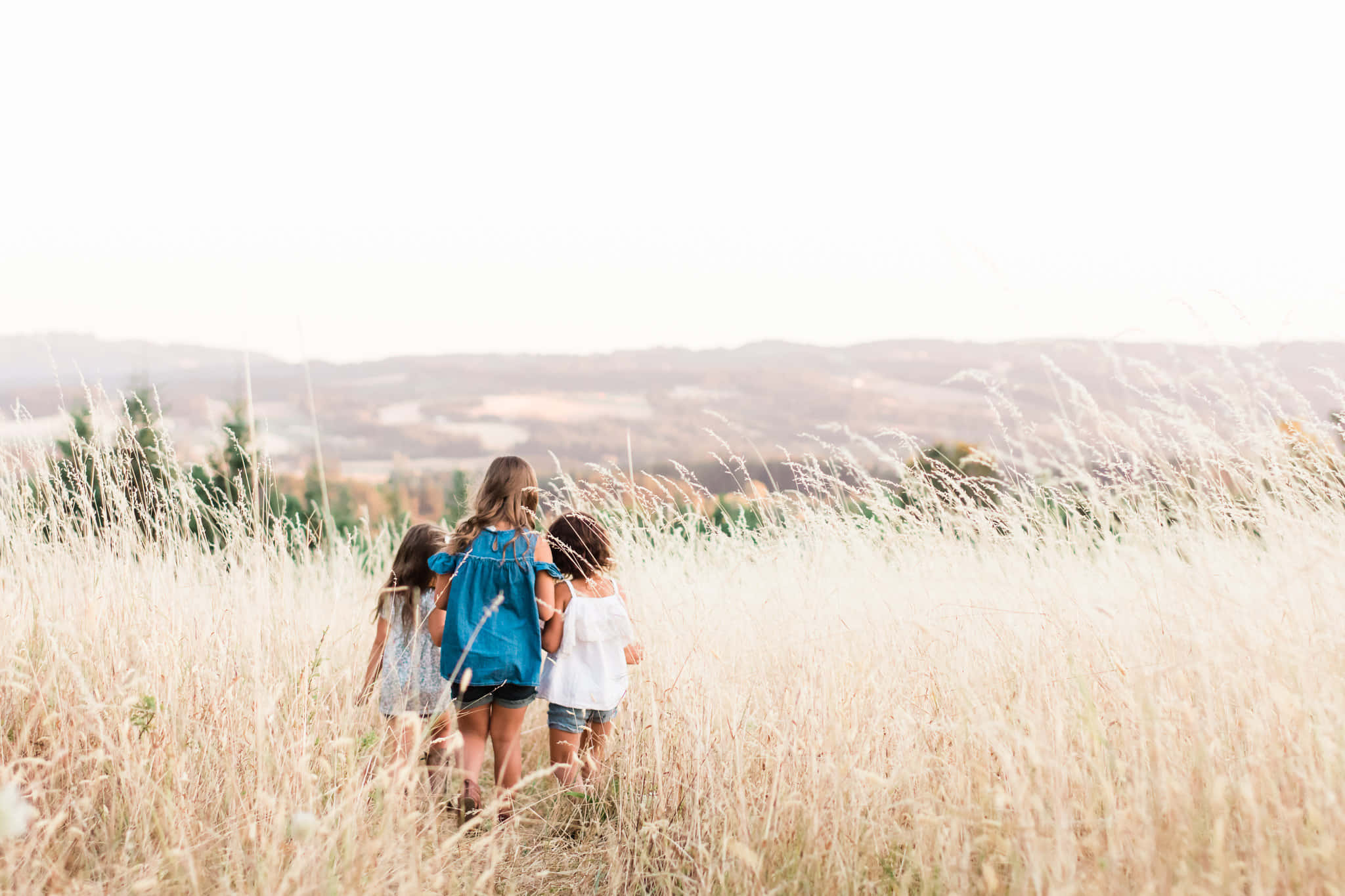 sisters, sunlit field, golden grass, Full HD Desktop Wallpaper