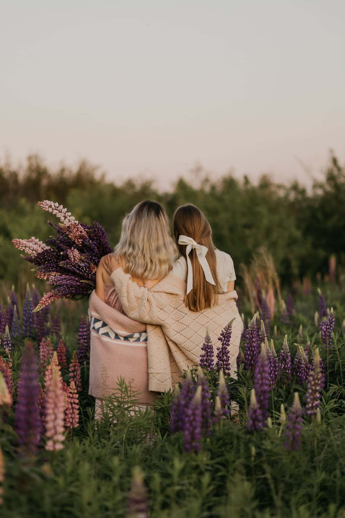 sisters, lupine flowers, sunset, HD Phone Wallpaper
