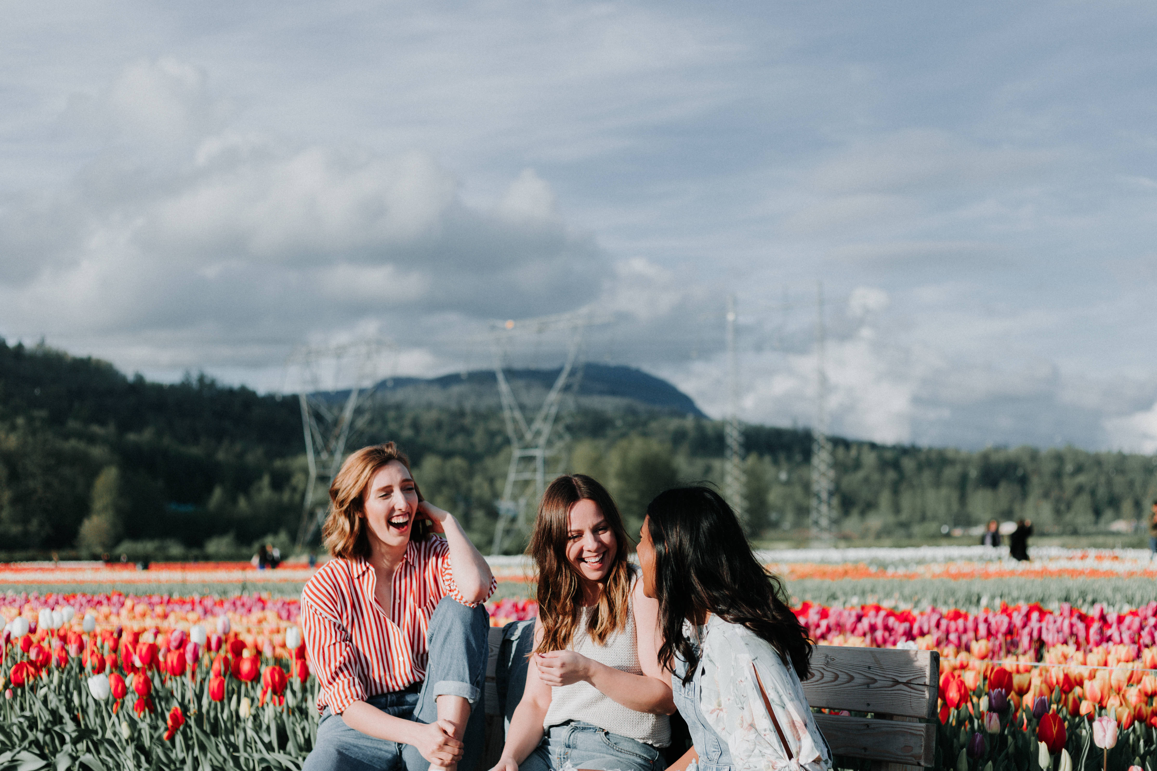 tulips field, red and orange tulips, cloudy sky, 4K Desktop Wallpaper