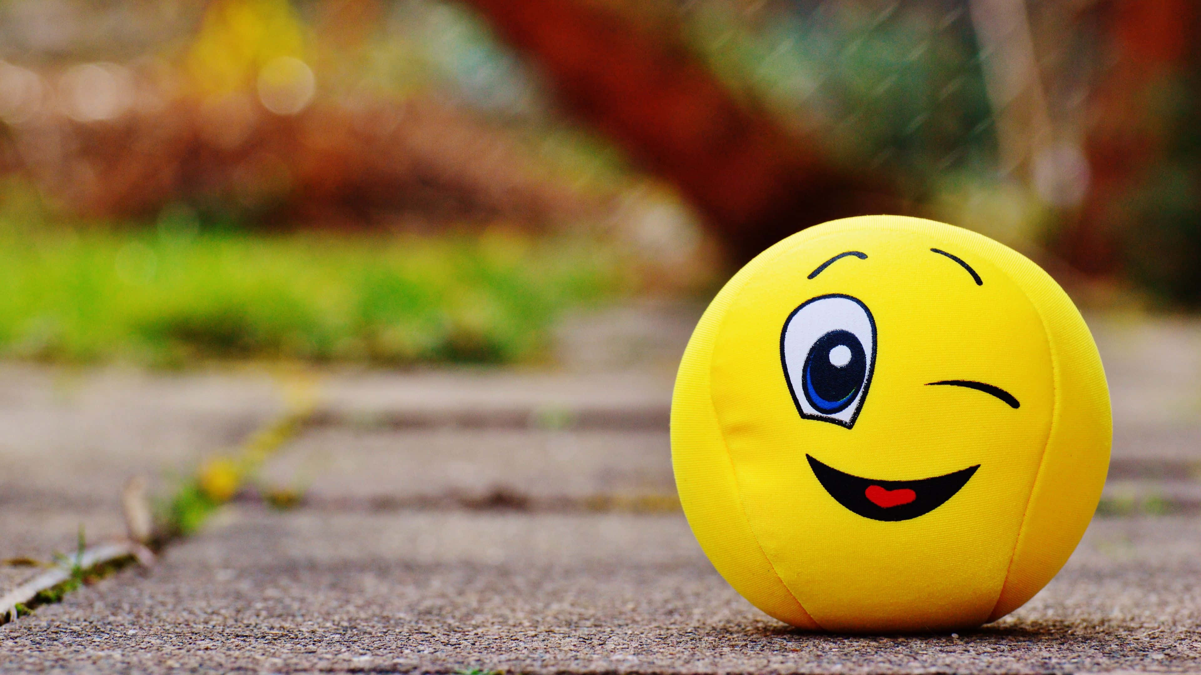 yellow winking emoji plush ball, stone path, blurred autumn foliage, 4K Desktop Wallpaper