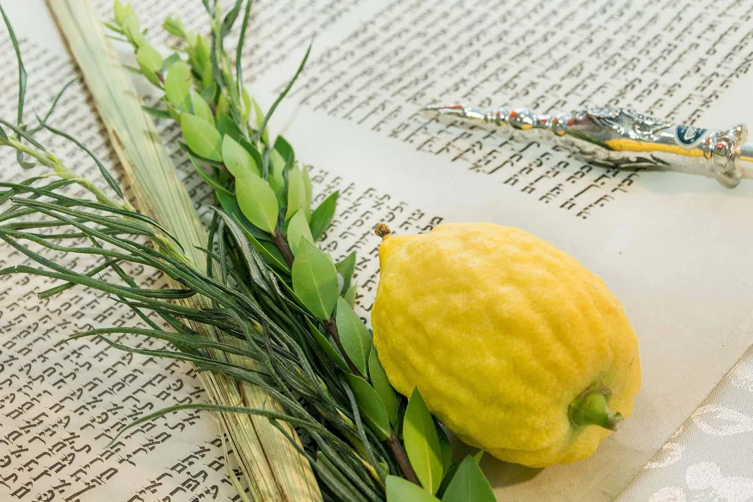 Happy Sukkot