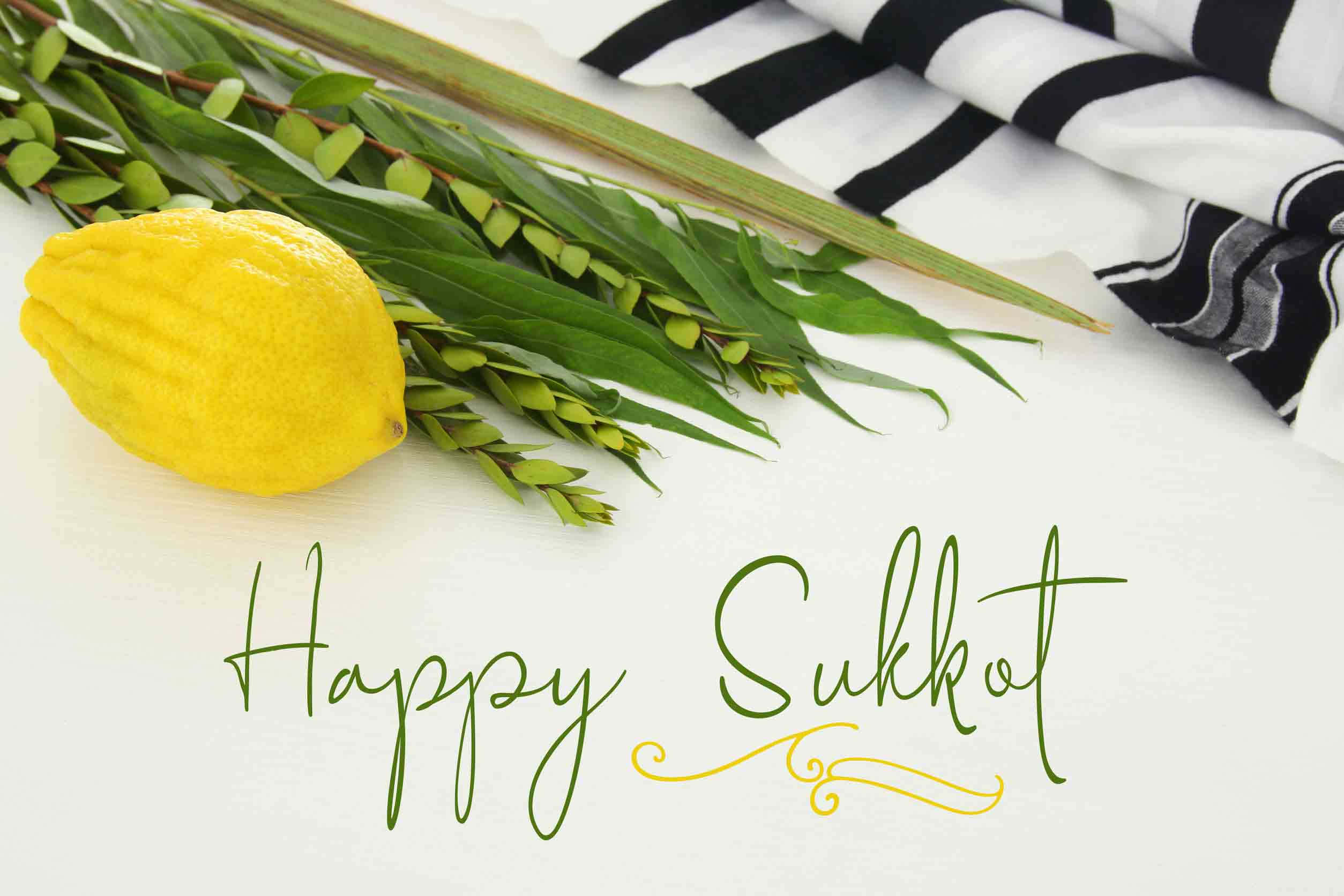 Happy Sukkot, lemon, palm fronds, Full HD Desktop Wallpaper