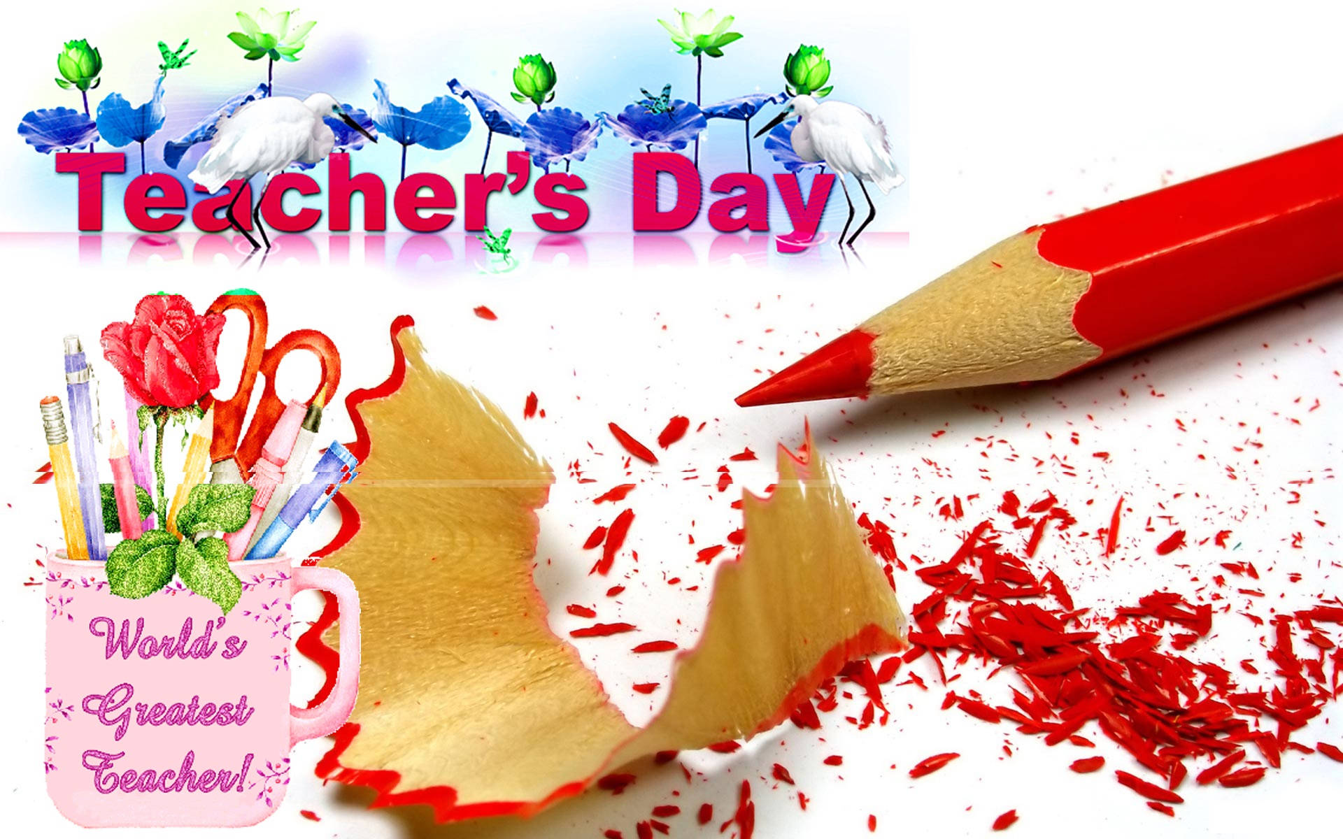 Happy Teachers Day, red pencil, shavings, Full HD Desktop Wallpaper