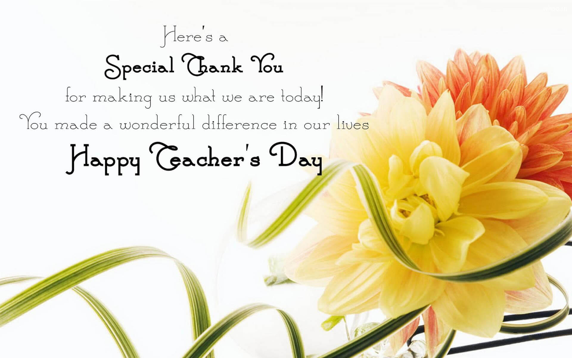 Happy Teachers Day, dahlia flowers, yellow and orange, Full HD Desktop Wallpaper