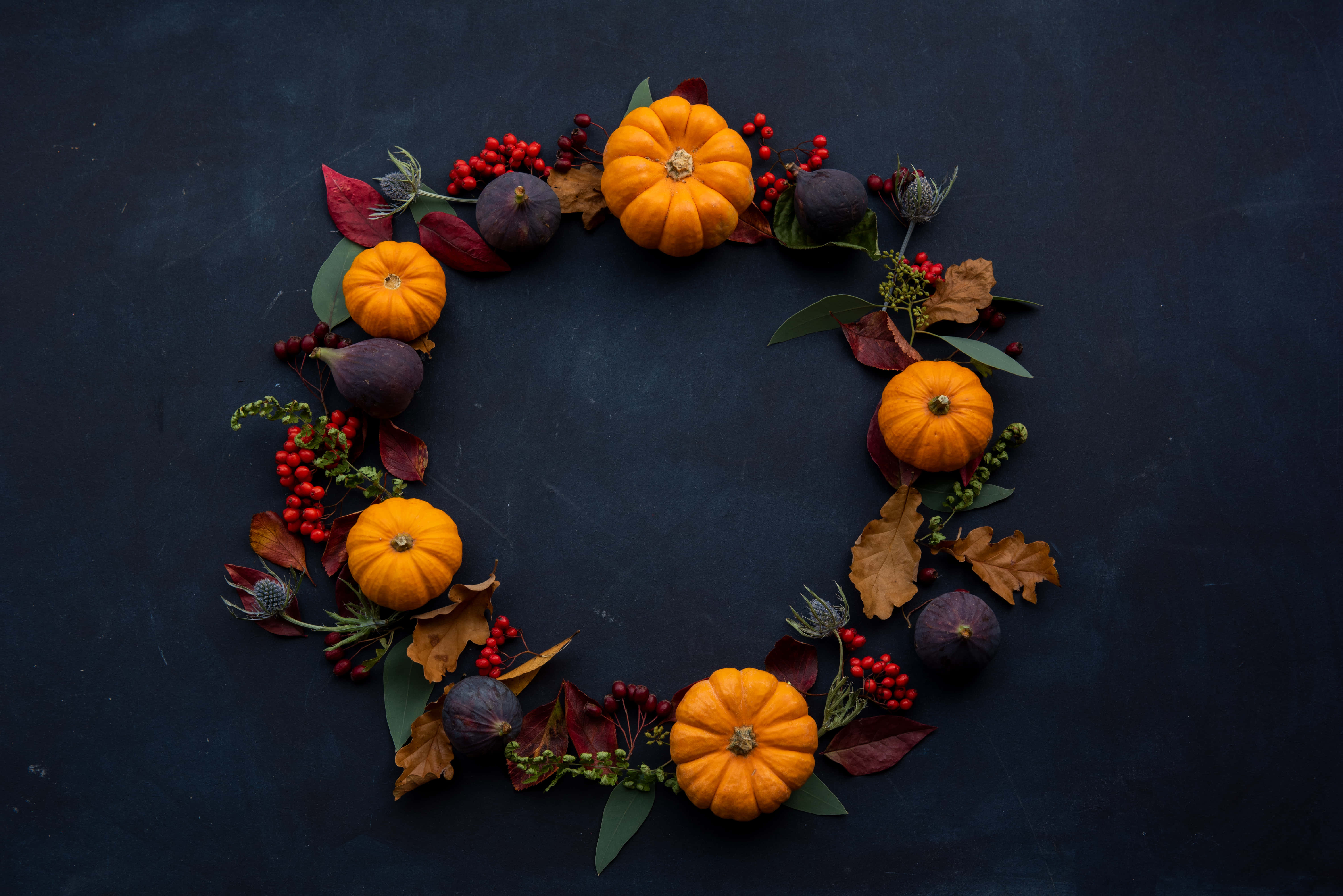 autumn wreath, orange pumpkins, red berries, 5K Desktop Wallpaper