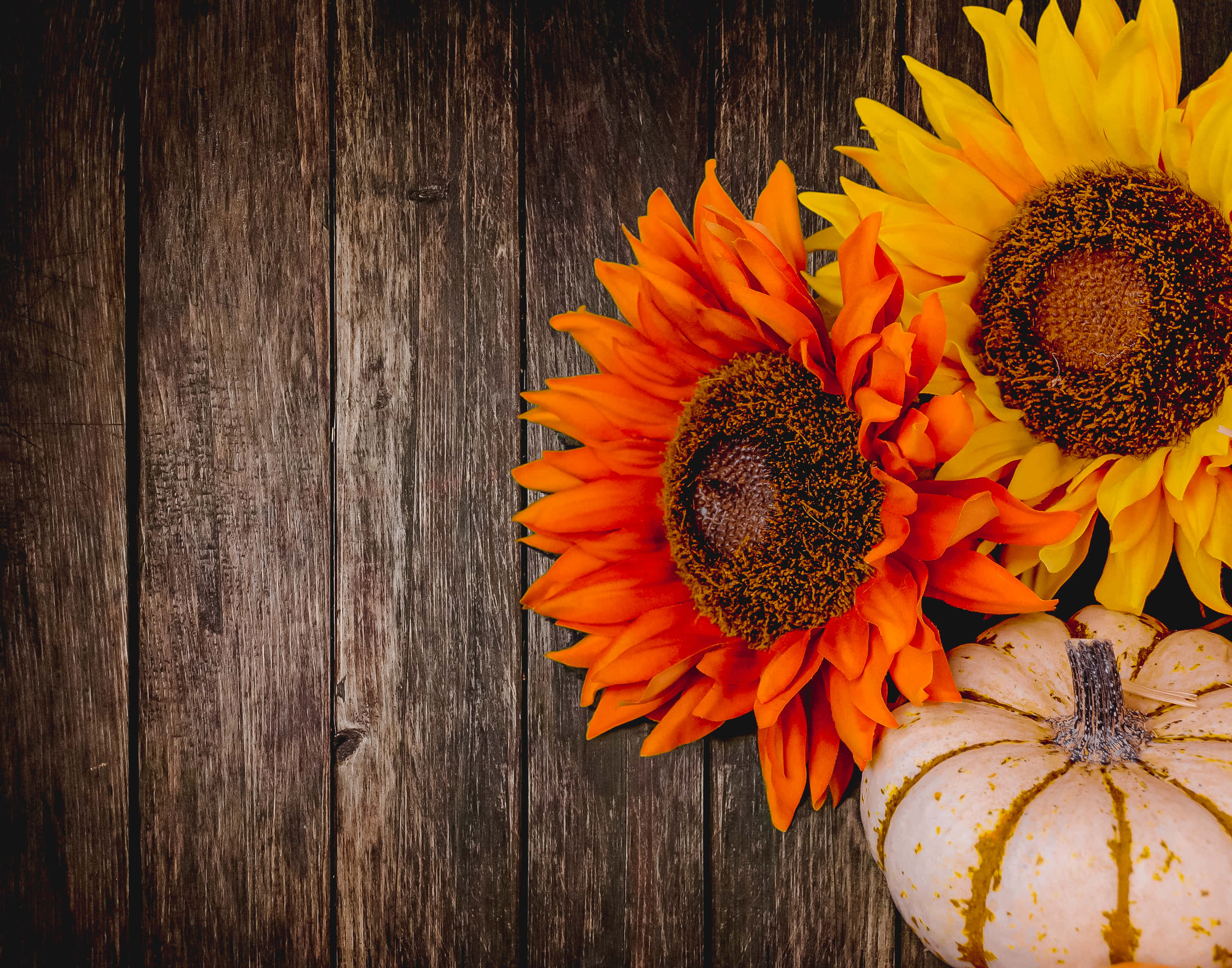 orange, yellow, white pumpkin, 2K Desktop Wallpaper
