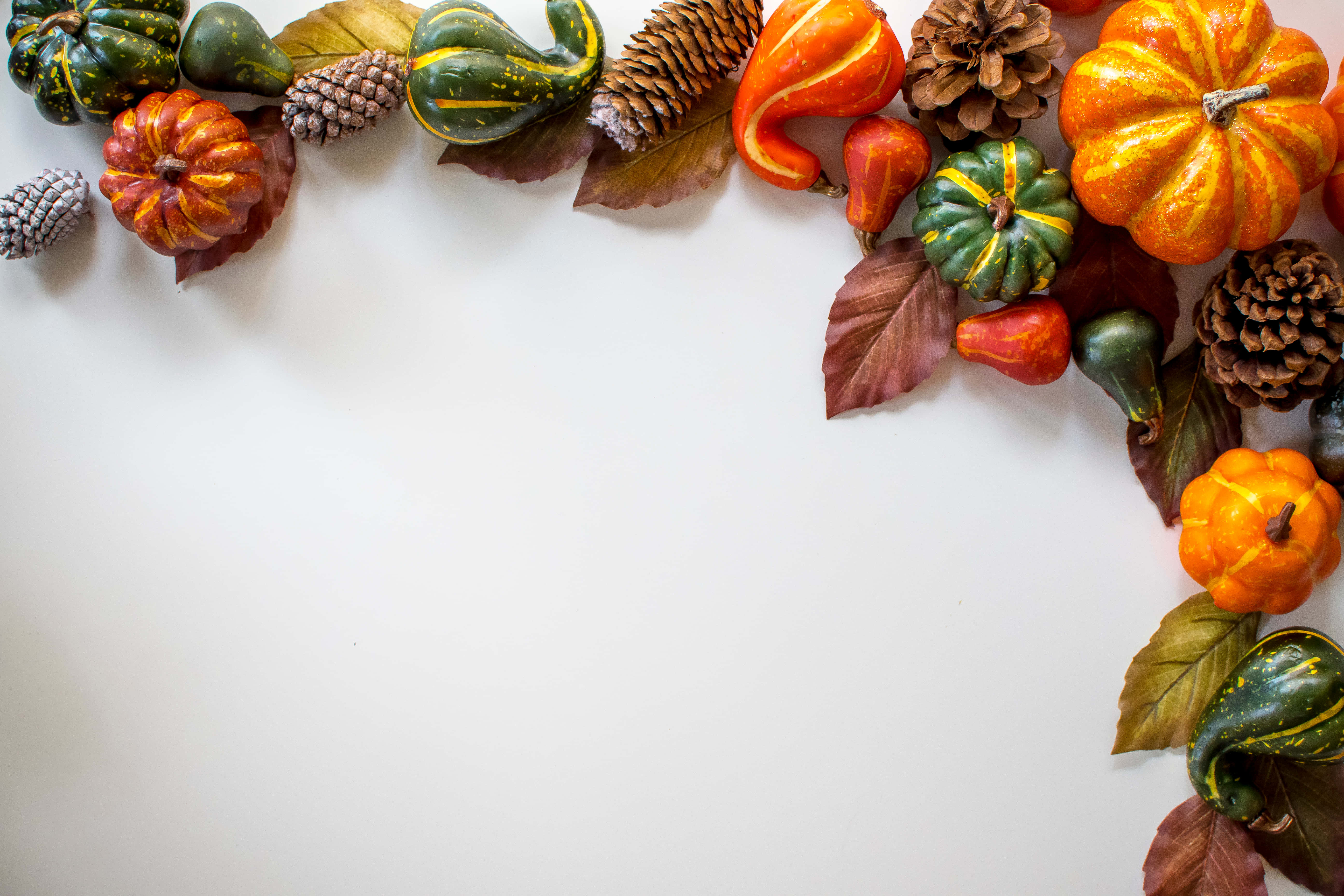 Happy Thanksgiving to All!, autumn border, pumpkins, 5K Desktop Wallpaper