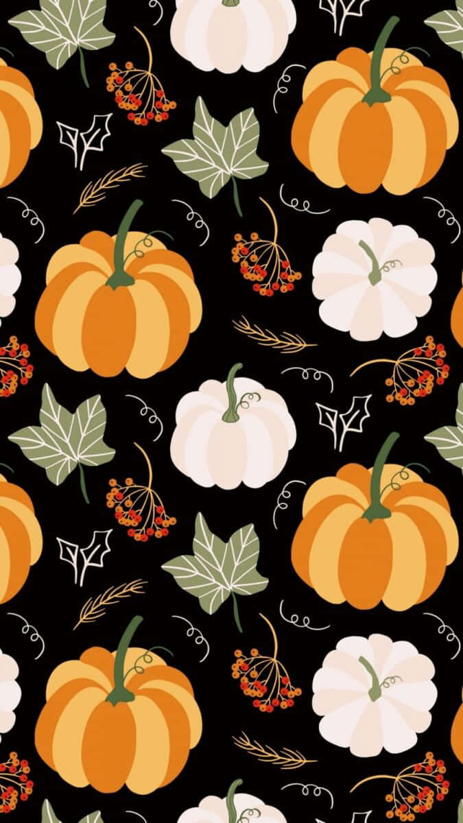 Happy Thanksgiving, orange and white pumpkins, green leaves, SD Phone Wallpaper