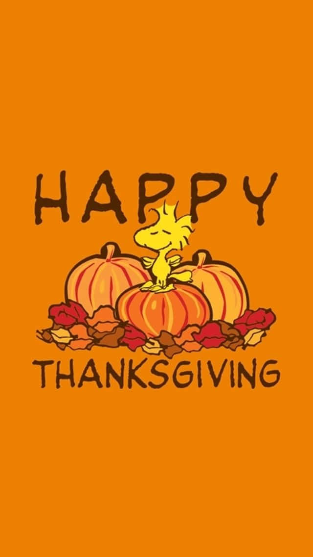 HAPPY THANKSGIVING, cheerful yellow bird, pumpkins, SD Phone Wallpaper