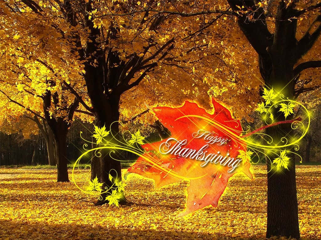 Happy Thanksgiving, golden autumn trees, glowing red maple leaf, SD Desktop Wallpaper