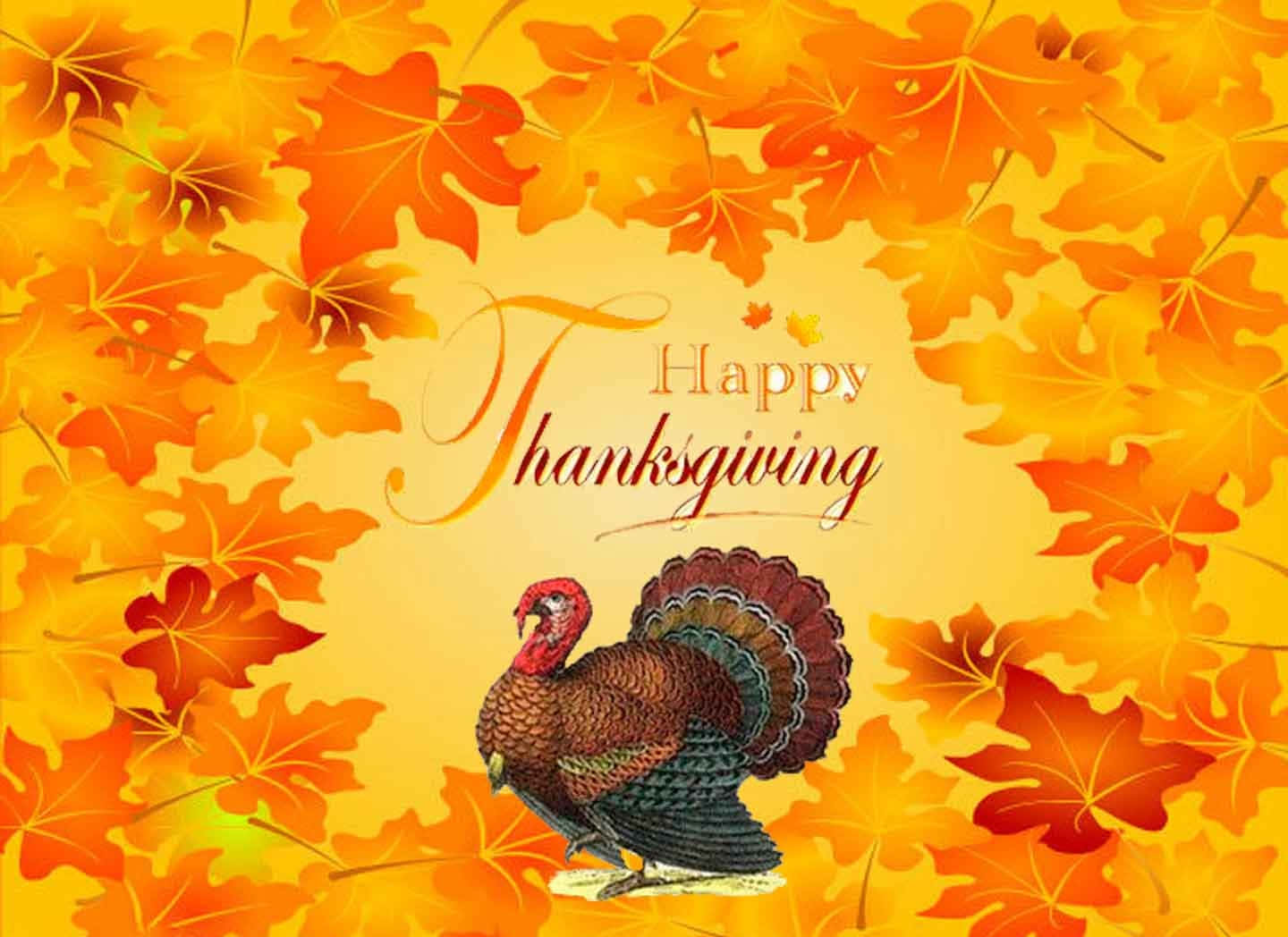 Happy Thanksgiving, turkey, autumn leaves, HD Desktop Wallpaper