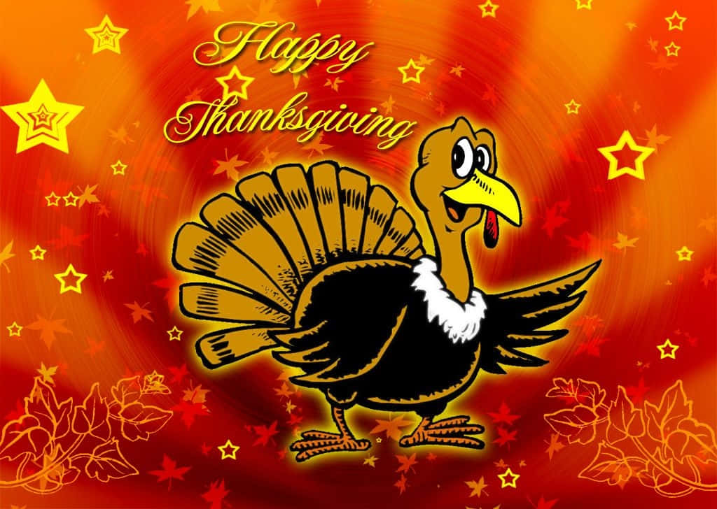 turkey, white ruff, yellow beak, SD Desktop Wallpaper