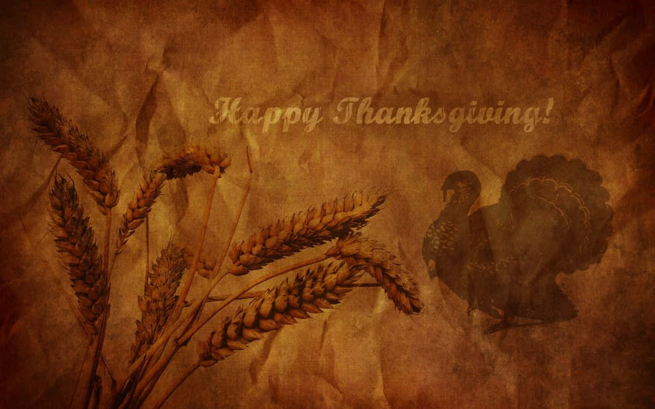 Happy Thanksgiving, wheat stalks, turkey silhouette, HD Desktop Wallpaper