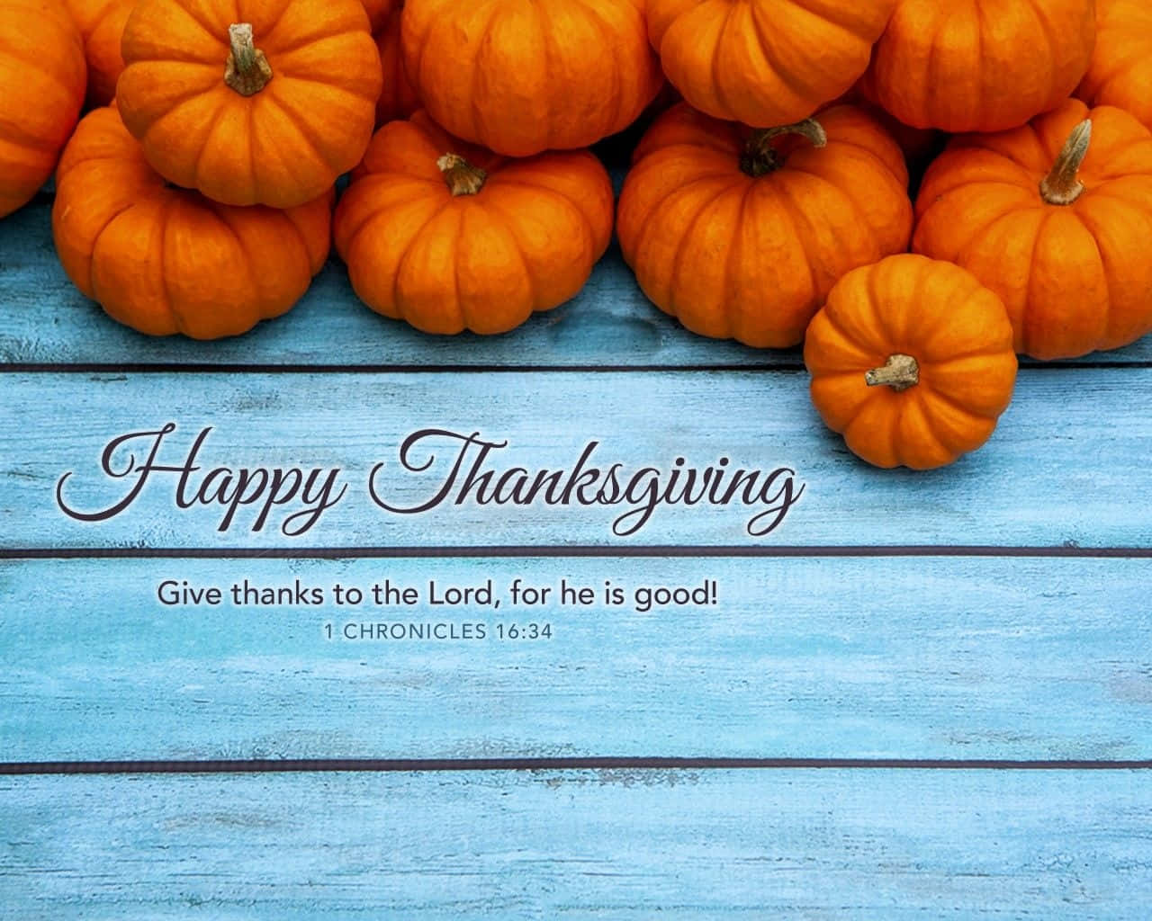 Happy Thanksgiving, orange pumpkins, weathered blue wooden surface, HD Desktop Wallpaper