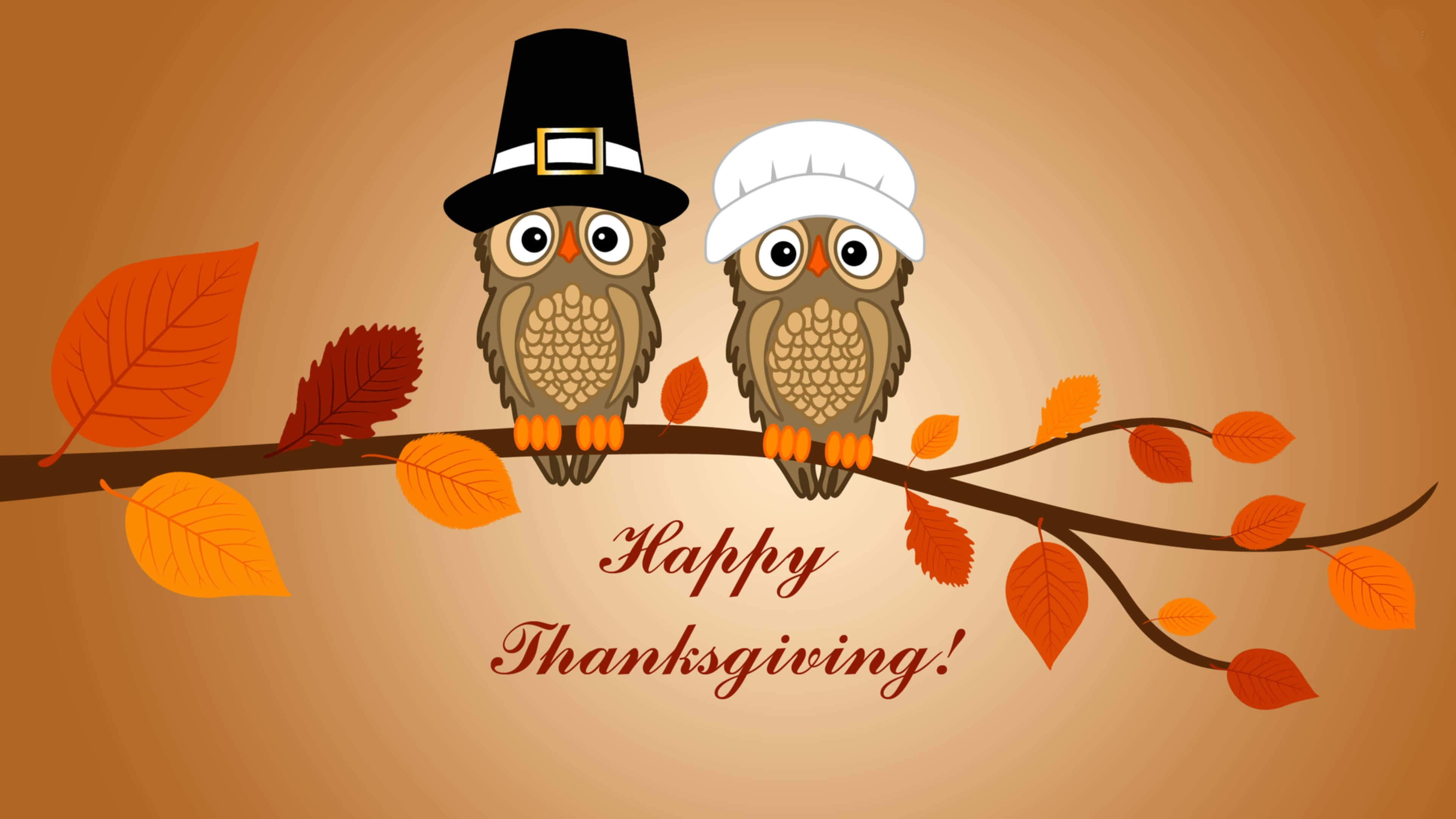 Happy Thanksgiving, owls, pilgrim hats, 4K Desktop Wallpaper