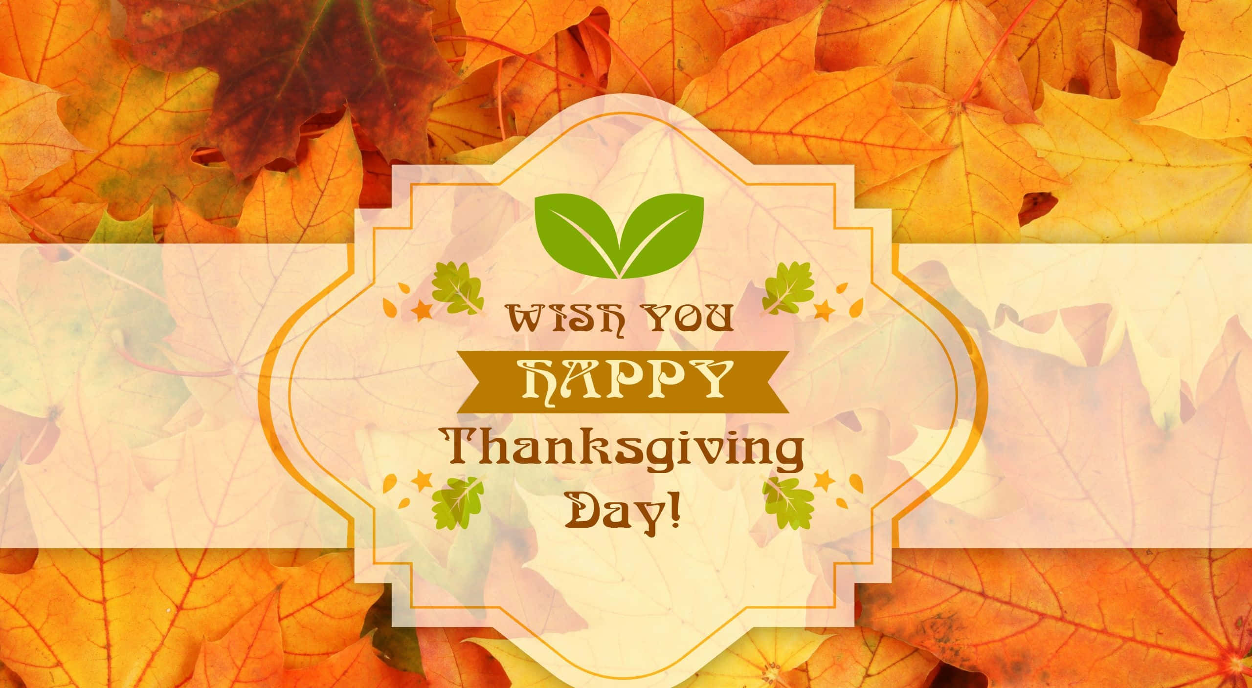 Thanksgiving, autumn leaves, orange, 2K Desktop Wallpaper
