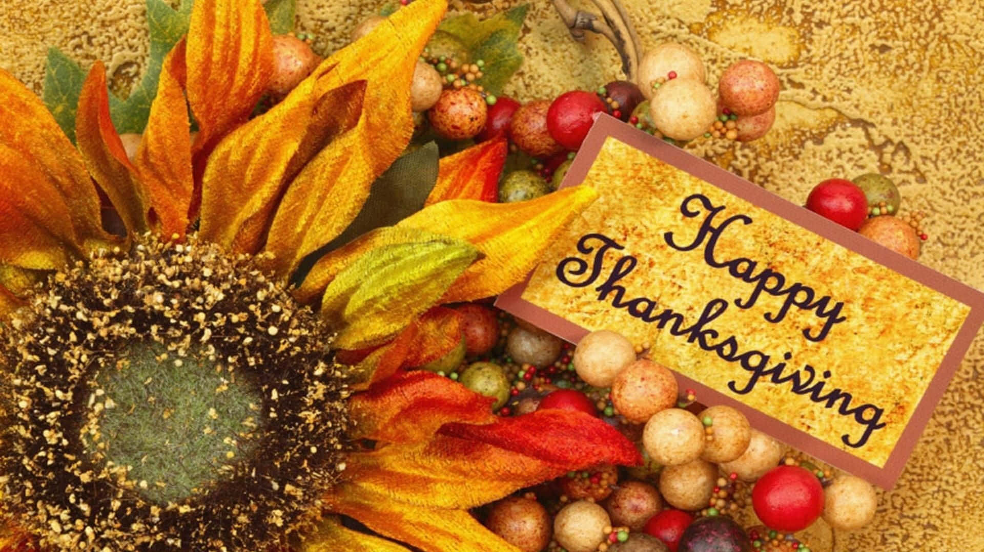 Happy Thanksgiving, sunflower, autumn berries, Full HD Desktop Wallpaper