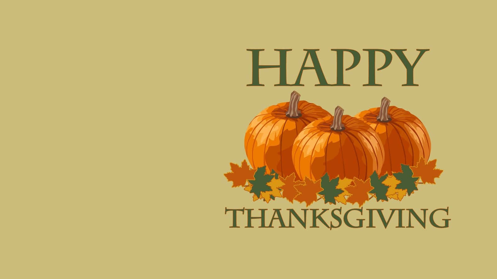 Three Pumpkins Happy Thanksgiving Greeting Card, HAPPY THANKSGIVING, orange pumpkins, HD Desktop Wallpaper
