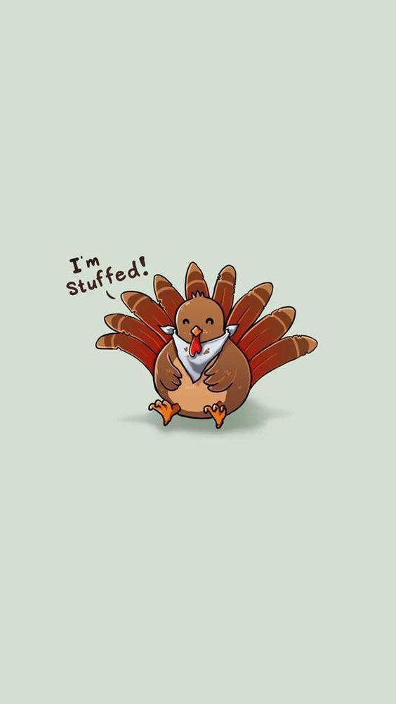 turkey, bandana, I'm Stuffed!, SD Phone Wallpaper