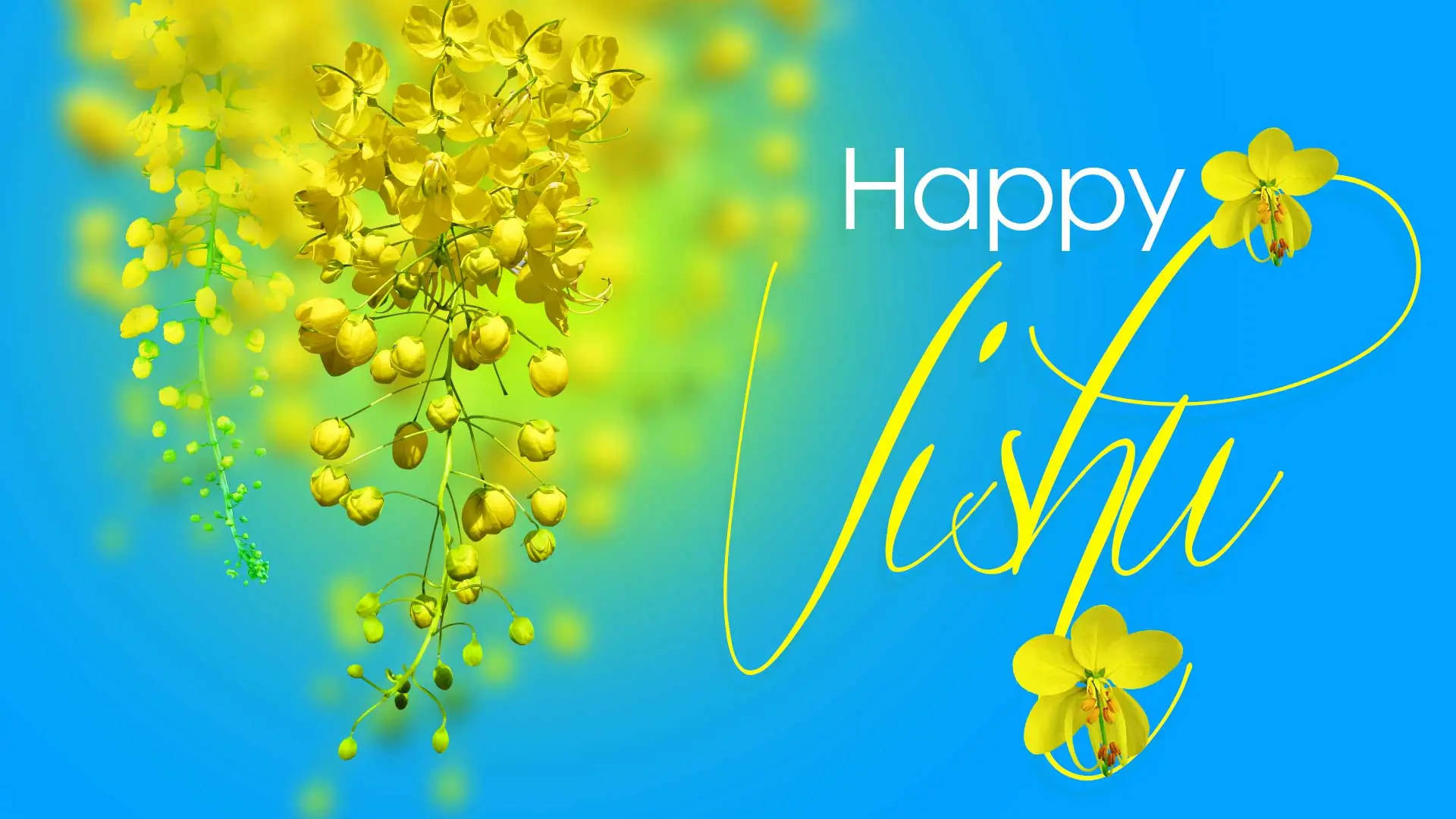 Happy Vishu, sky blue background, vibrant yellow flowers, Full HD Desktop Wallpaper