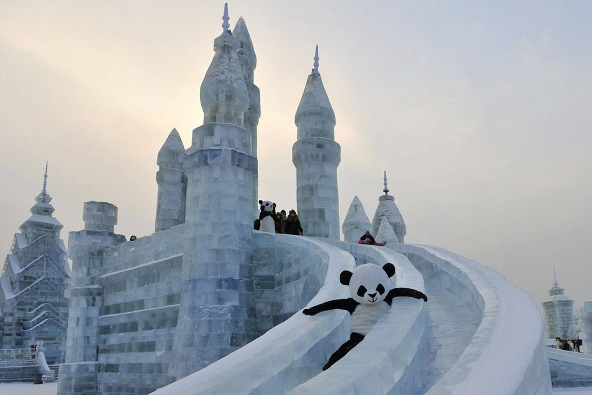 Harbin, panda costume, ice castle, Full HD Desktop Wallpaper