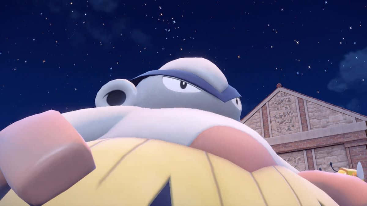 Hariyama, blue cap, yellow shirt, SD Desktop Wallpaper